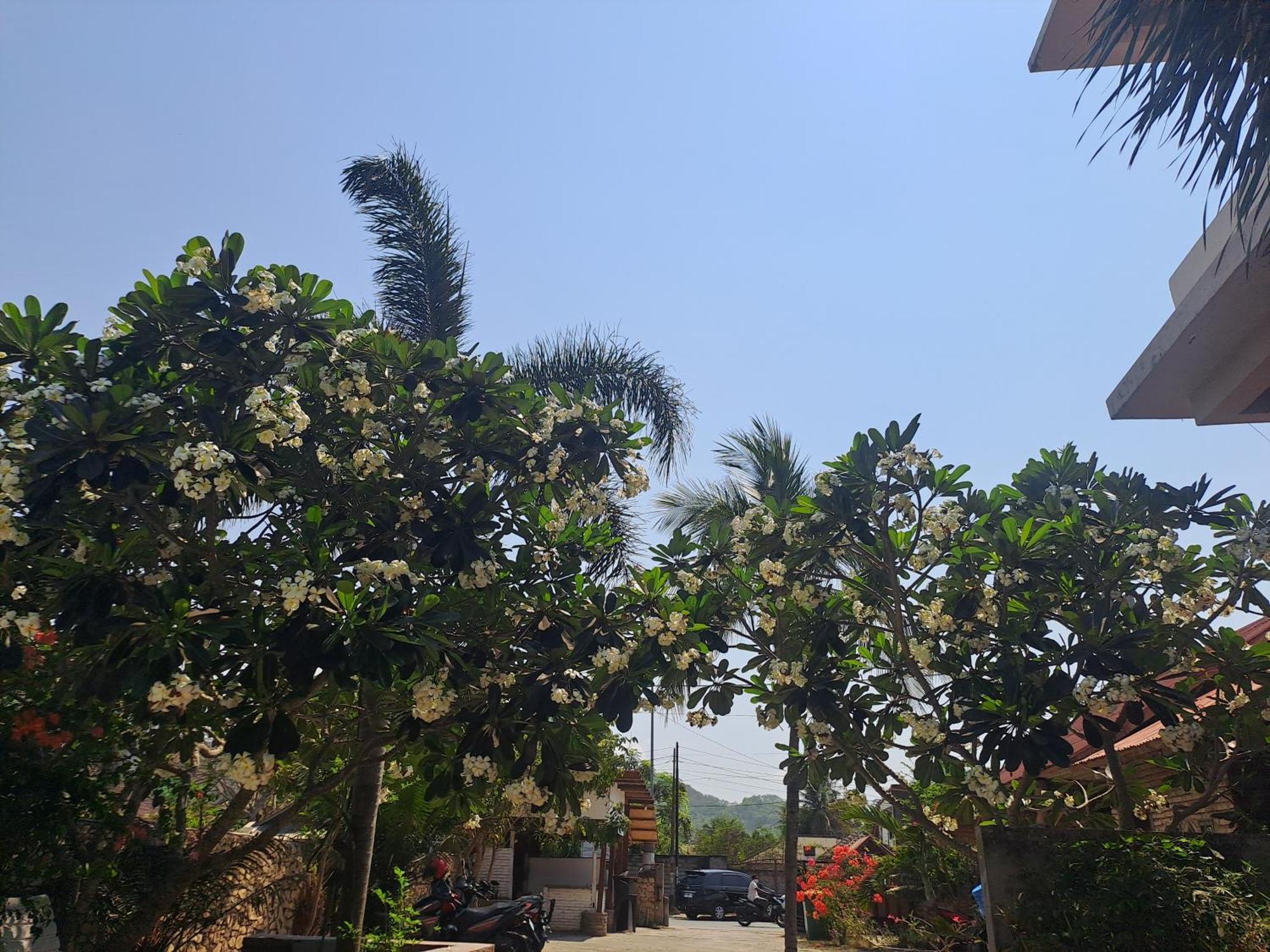 Kutabay Homestay Kuta  外观 照片
